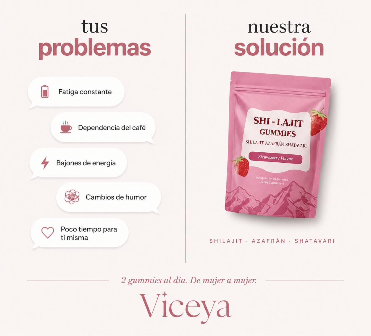 Viceya mujer bienestar